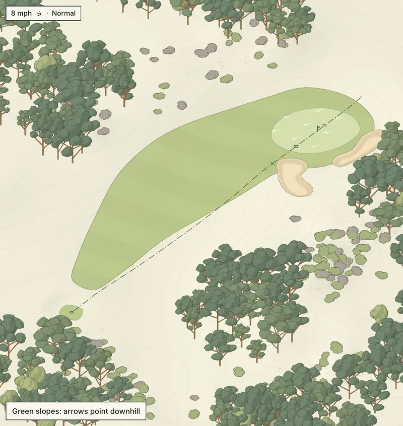 Bracken Hollow, No. 1, a par 3, from the Drone view: a long green past bunkers, with pines and heather around it.