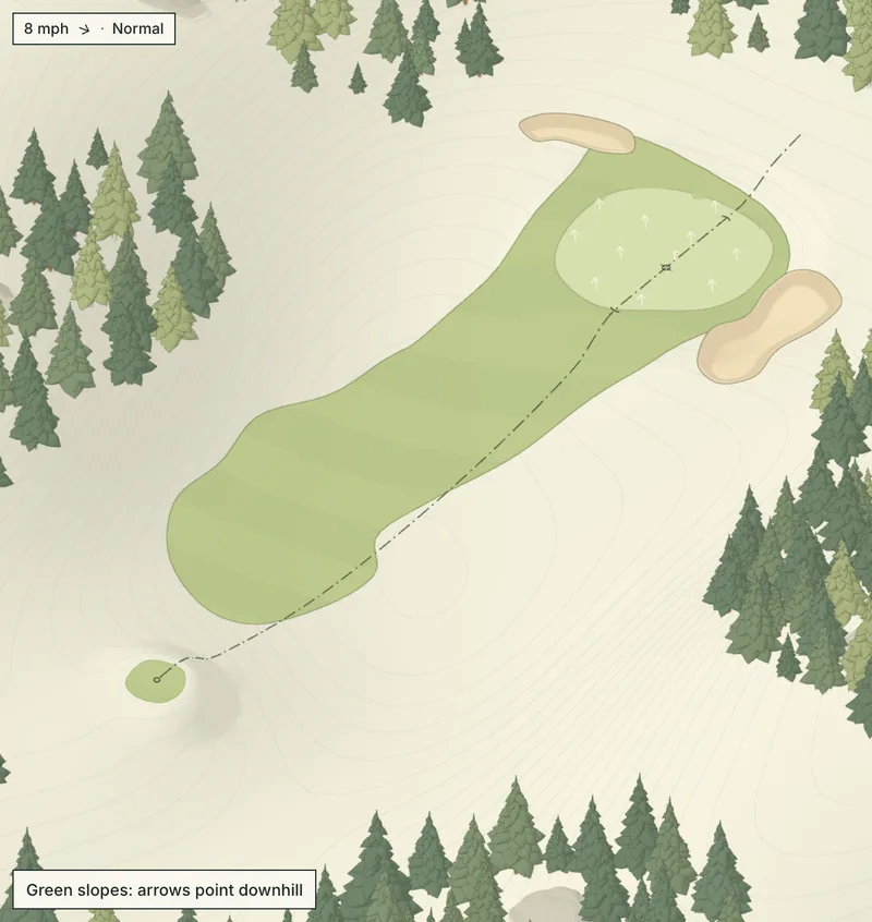 High Meadow, No. 1, a par 3 among mountain pines, from the Drone view, with the aim line to the green.